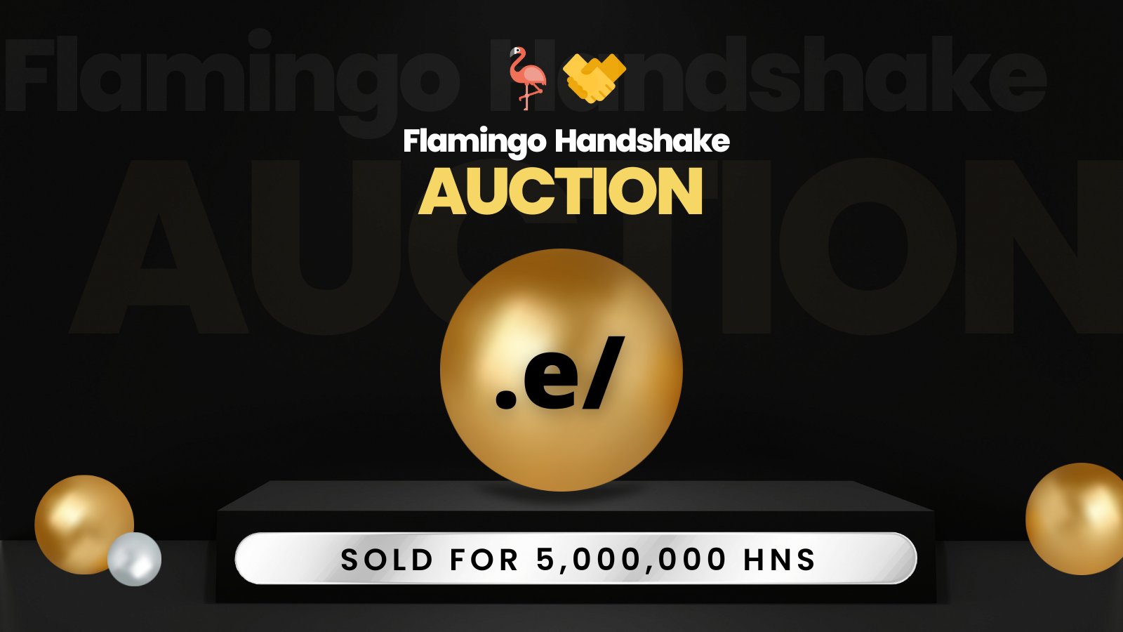 Record: 5 Million HNS Winning auction Bid for .e/ TLD on Handshake